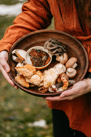 Różne gatunki grzybów witalnych i leczniczych - reishi, cordyceps, lion's mane