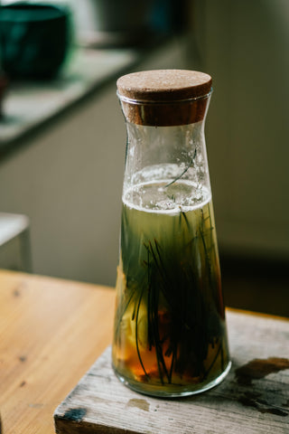 Fermentowany napój gazowany z igieł sosny